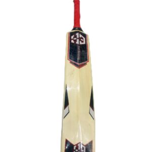 Cricket Bat (English)