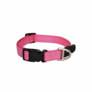 classic dog collar small-Xxlarge
