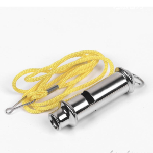 security whistle